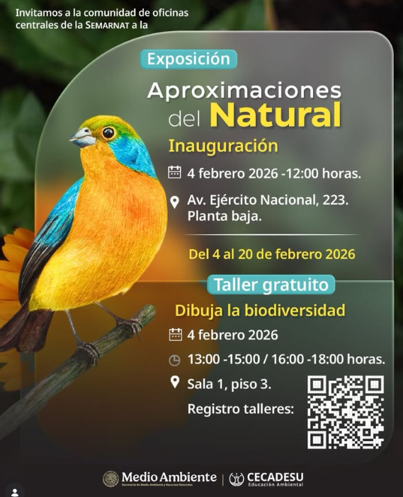 Aproximaciones