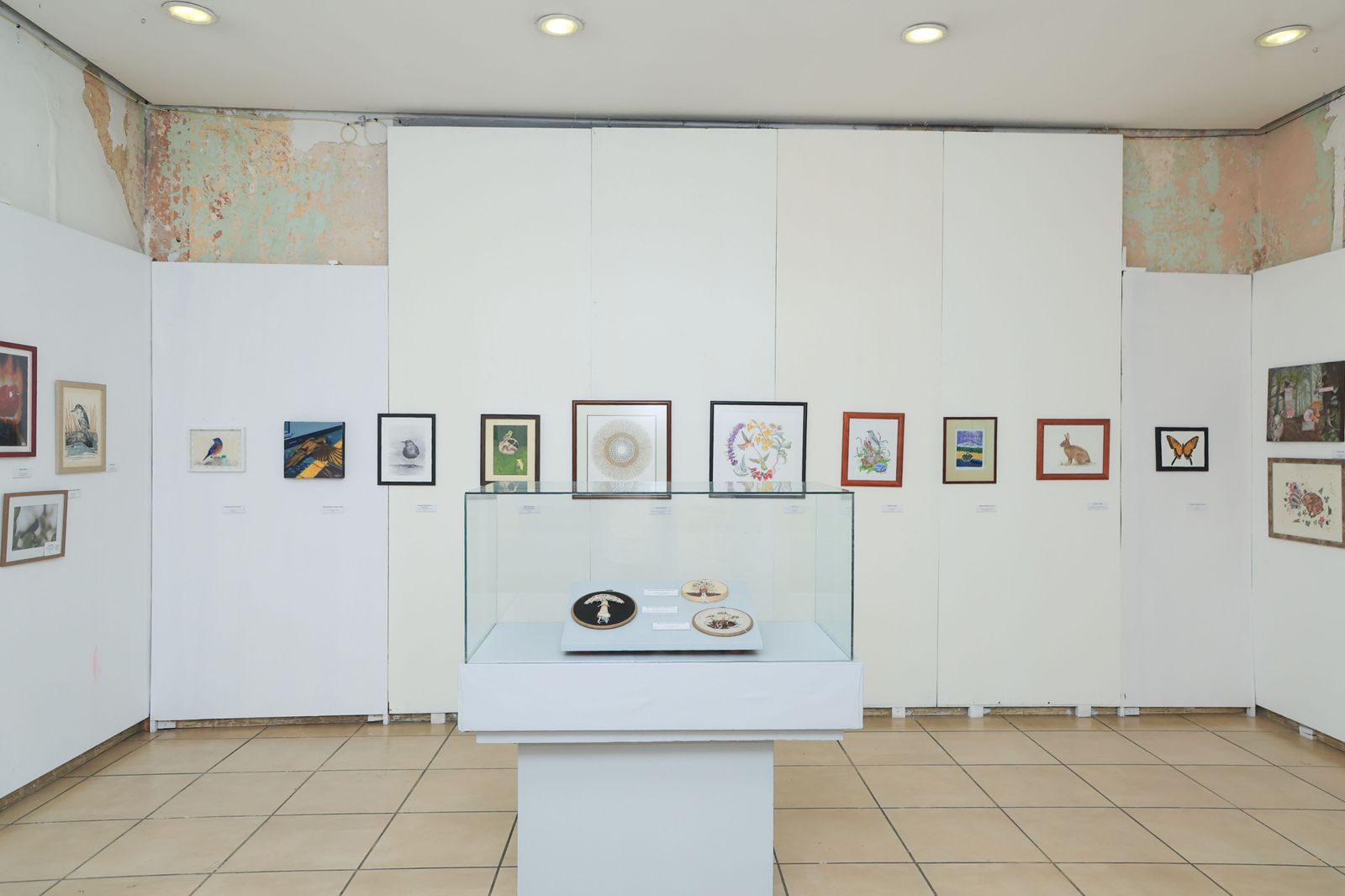 Portada de la exposición