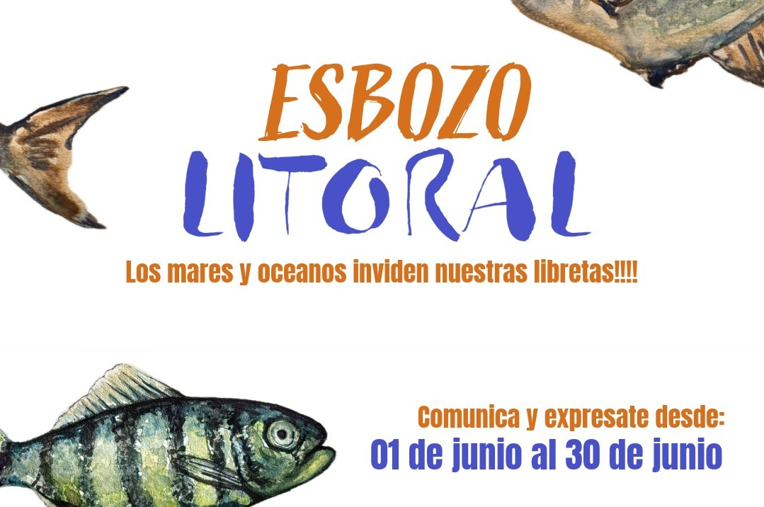 esbozo